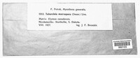 Image Associated With the Occurence
